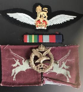 OS Insignia returned to the family of Edwin Pickford