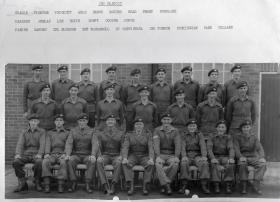 AA 260 Platoon 