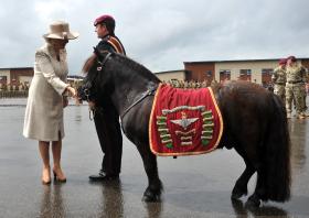 The Duchess of Cornwall with Pegasus, Medals Parade, Colchester, 2011