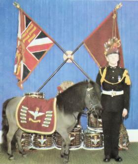 The Regimental Mascot with Pony Major, 1978