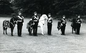 Regimental mascots on parade, Aldershot, early 1960s