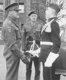 The Regimental Mascot greets Lt Gen Down on his farewell visit to 2 PARA, c1955