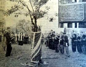 Remembrance at the 'Arnhem Tree’ in Alexandra Palace Park, 22 September 1961.