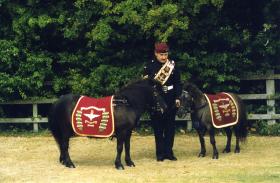 Corporal Osborne with Pegasus 4 and Falklands, 2002