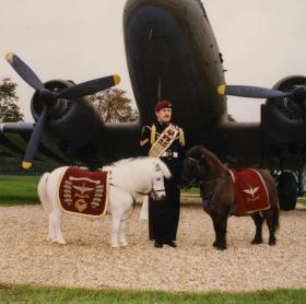 Dodger and Pegasus 3 in front of the Dakota, Aldershot, c.1990s