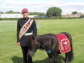 Pony Major Pte Adam Martin with Pegasus V at Duxford's Animal at War Day, 2013.