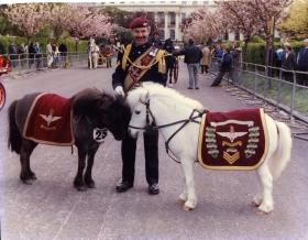 Pegasus 3 and Dodger on ceremonial duties, location unknown, c.1990s