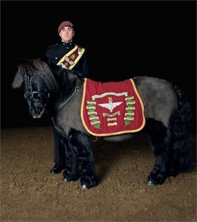 Pony Major L/Cpl Adam Martin with Pegasus IV from an article in Country Life Magazine, 2015.